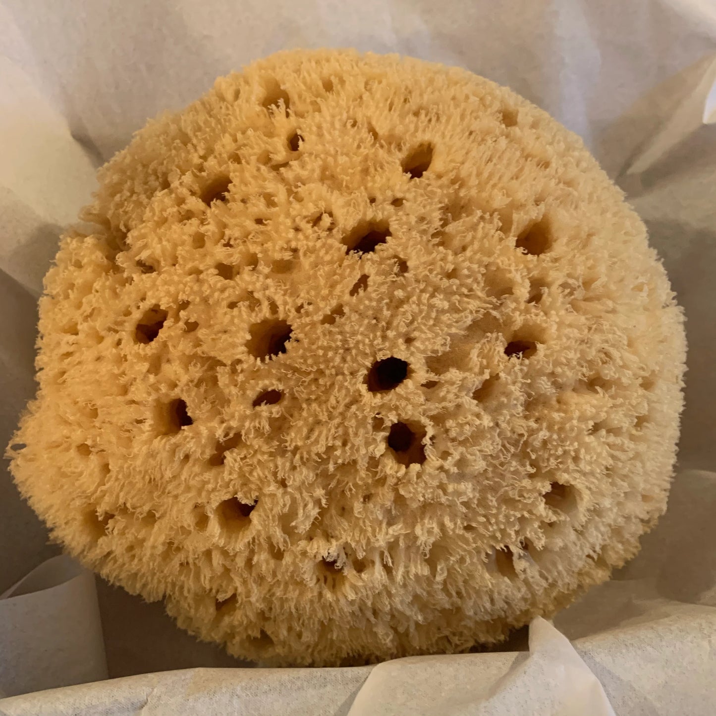 Natural Soap Sponge-baesha