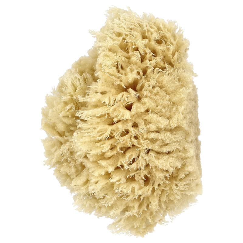 Natural Soap Sponge-baesha