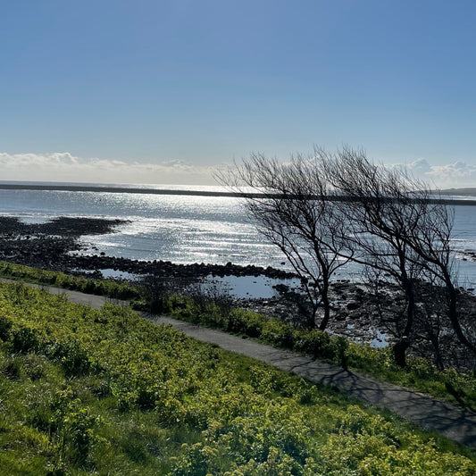 8. Candle - Coastal #fresh-baesha