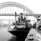 Shift / Activated Charcoal-baesha