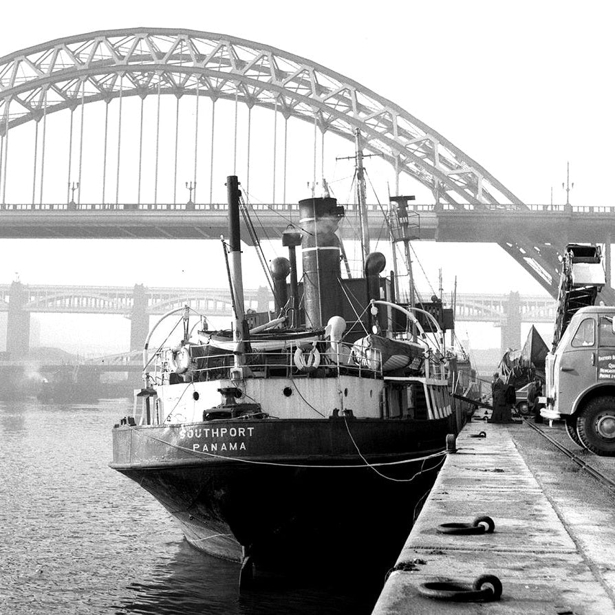 Shift / Activated Charcoal-baesha