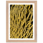 Yellow Knotted Net-baesha