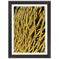 Yellow Knotted Net-baesha