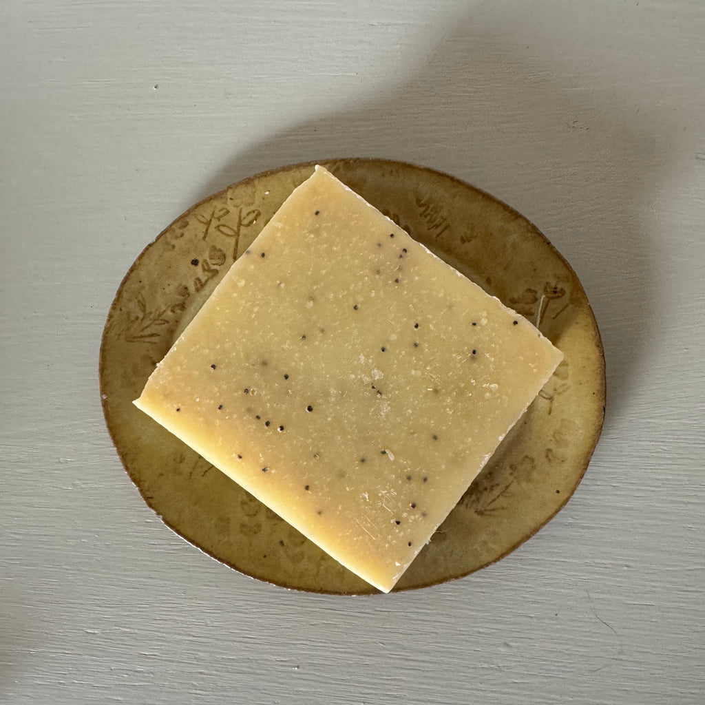Shift / Lemon Poppy Seed → Open-baesha