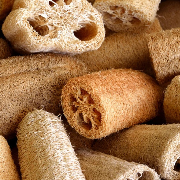 Natural Soap Sponge-baesha