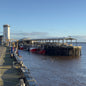 North Shields #NS800-baesha