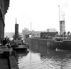 Shift / Activated Charcoal-baesha