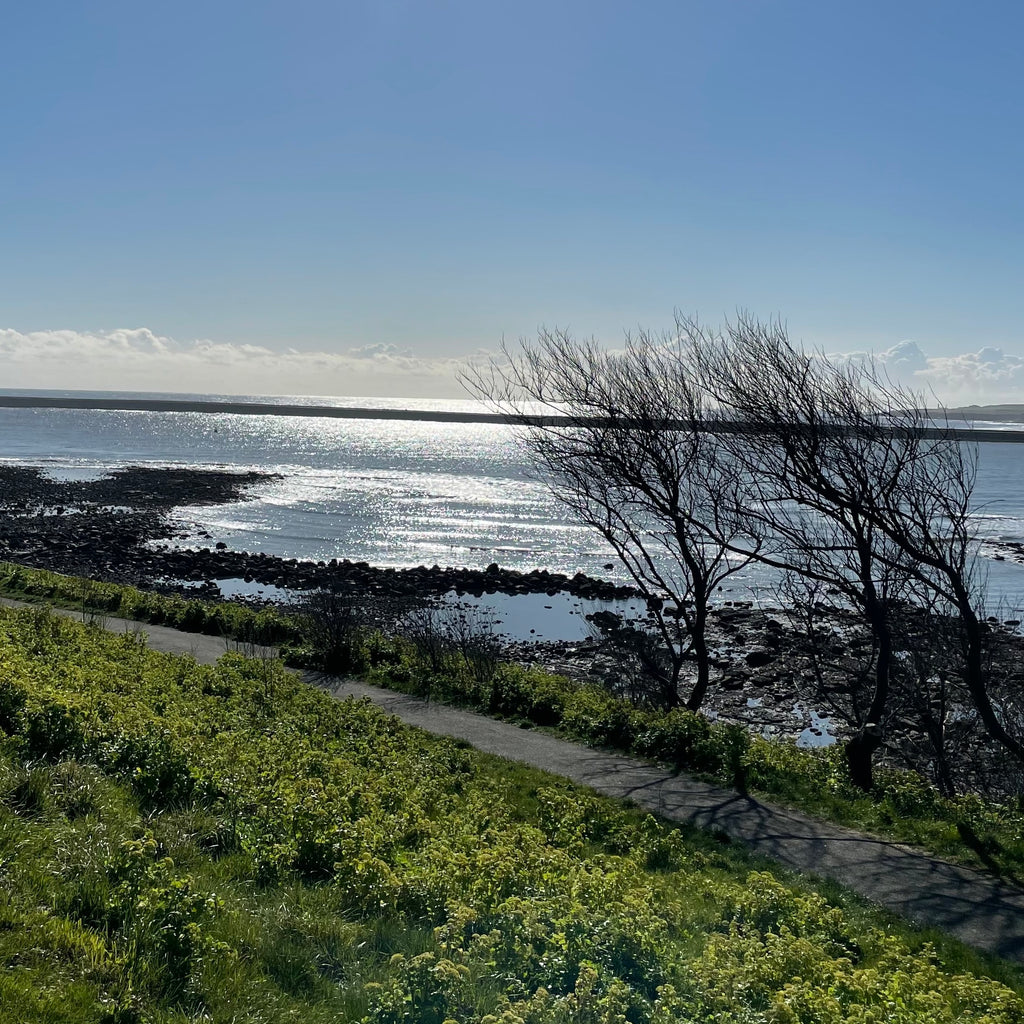 8. SHIFT / Coastal #renewal-baesha