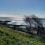 8. SHIFT / Coastal #renewal-baesha