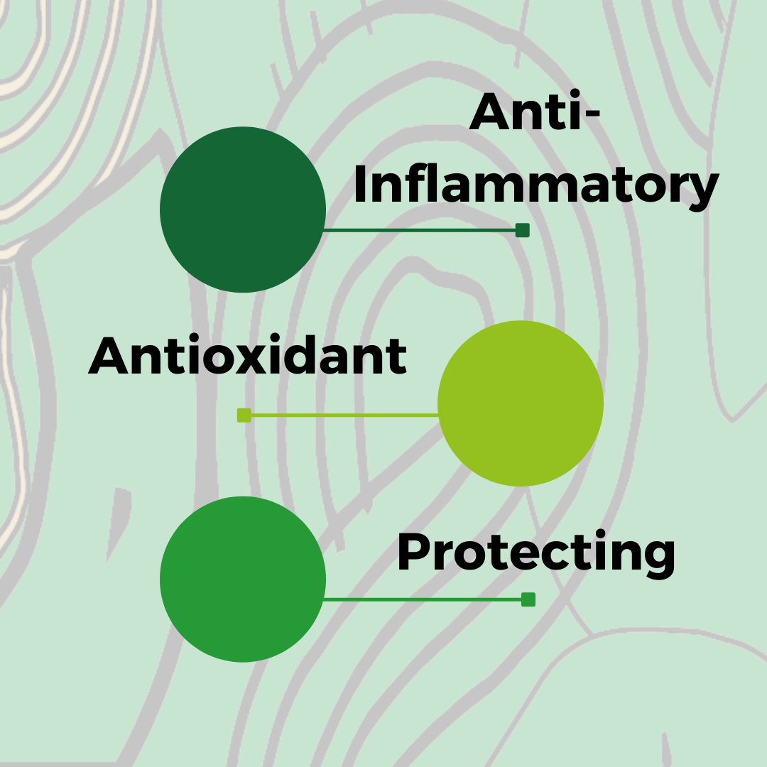 Balm - Handcare Intensive Salve-baesha